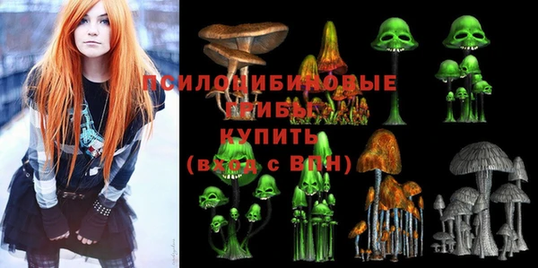гидра Алзамай