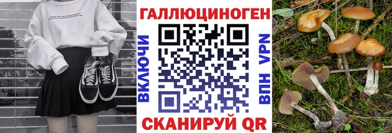 Галлюциногенные грибы ЛСД  закладка  Чехов 